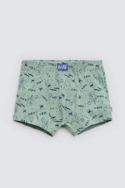 Pack 2 bóxers infantiles algodón estampados Roar<Ysabel Mora Outlet