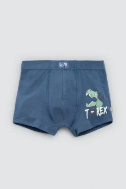 Pack 2 bóxers infantiles algodón estampados Roar<Ysabel Mora Outlet