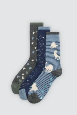 Pack 3 calcetines infantiles térmicos antideslizantes Dino<Ysabel Mora