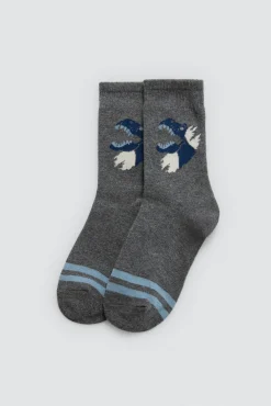 Pack 4 calcetines infantiles estampados Roar<Ysabel Mora Best