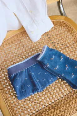 Pack bóxer y calcetín estampado perro salchicha<Ysabel Mora Online