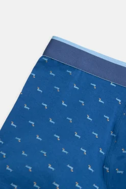 Pack bóxer y calcetín estampado perro salchicha<Ysabel Mora Online