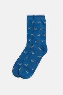 Pack bóxer y calcetín estampado perro salchicha<Ysabel Mora Online